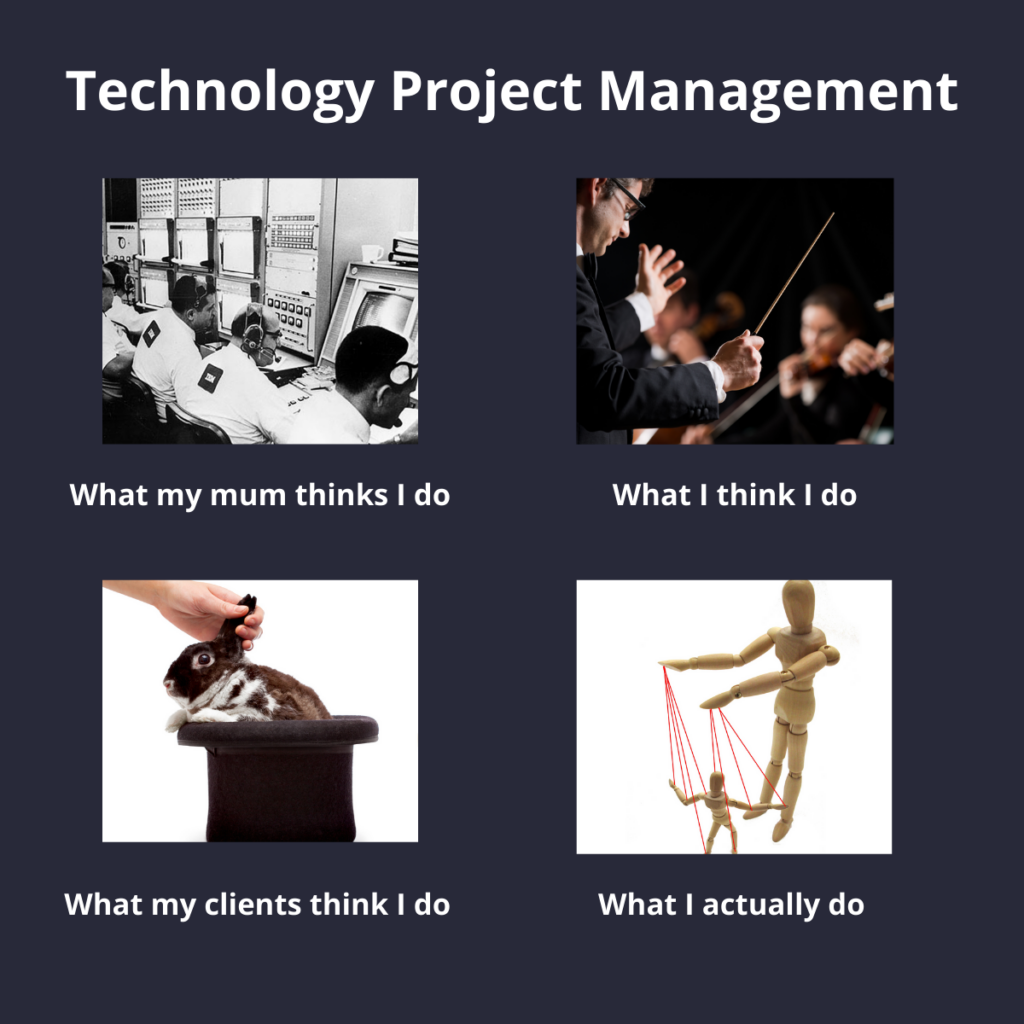 Software development - Project management roles